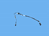 WIRING LICENSE LAMP - image 1