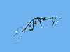 WIRING POWERTRAIN - image 1