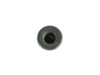 NUT - image 3