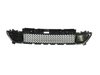 GRILLE LOWER - image 2