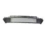 GRILLE LOWER - image 3