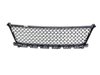 GRILLE LOWER - image 2