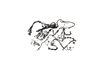 WIRING BODY - image 3