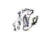 WIRING BODY - image 2