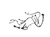 WIRING FRONT END MODULE - image 2