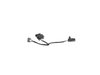 LAMP COURTESY - image 3