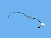 WIRING SEAT BACK PNL DVD - image 1