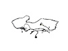 WIRING CHASSIS - image 1
