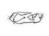 WIRING CHASSIS - image 2