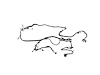 WIRING CHASSIS - image 1