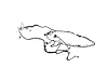 WIRING CHASSIS - image 1