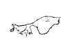 WIRING CHASSIS - image 1