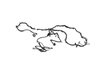 WIRING CHASSIS - image 3