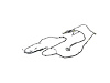 WIRING CHASSIS