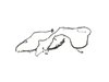 WIRING CHASSIS - image 2