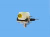 CONTROL ANTI-LOCK BRAKE - image 4