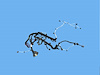 WIRING ENGINE - image 1