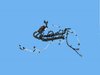 WIRING ENGINE - image 2