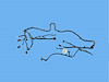 WIRING FRONT END MODULE - image 1