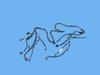 WIRING FRONT END MODULE - image 2