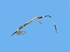 HOSE POWR STEERING RETURN - image 1