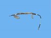 HOSE POWR STEERING RETURN - image 4