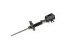 STRUT SUSPENSION - image 1