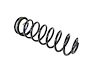 SPRING REAR COIL - image 1