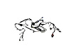 WIRING DASH - image 1