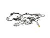 WIRING BODY - image 2
