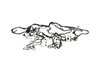 WIRING BODY - image 3