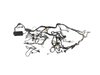 WIRING BODY - image 3