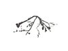WIRING ENGINE - image 2