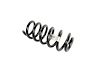 SPRING FRONT COIL - image 1