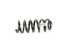 SPRING FRONT COIL - image 3