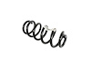 SPRING FRONT COIL - image 1