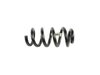 SPRING REAR COIL - image 3