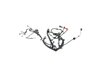 WIRING ENGINE - image 2