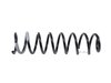SPRING FRONT COIL - image 2