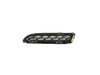 GRILLE FASCIA - image 3