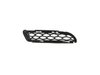 GRILLE FASCIA - image 4
