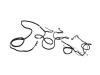 WIRING BODY RIGHT - image 1