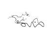 WIRING BODY RIGHT - image 1