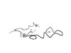 WIRING BODY RIGHT - image 3