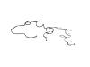 WIRING BODY RIGHT - image 1