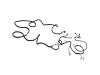 WIRING BODY RIGHT - image 1