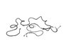 WIRING BODY RIGHT - image 3