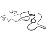 WIRING BODY RIGHT - image 1