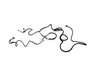 WIRING BODY RIGHT - image 2