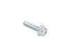 SCREW - image 1